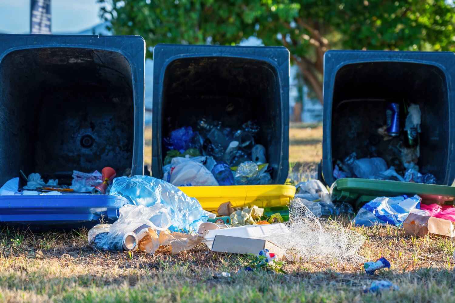 Professional Junk Removal in Bloomfield, NM